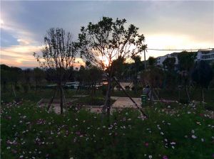 景區污水處理設備